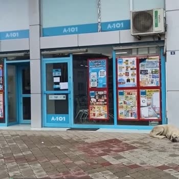 A101 Kapıları Açmıyor, Alışveriş Yapamadık!