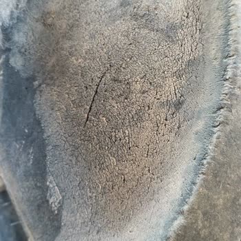 Lassa Marka Lastik Aldım Olumsuz Cevap