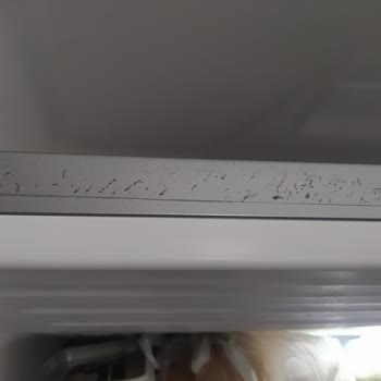 Beko 984611 No-Frost Buzdolabı Üstünde Lekeler Oluştu.