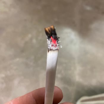 Philip Morris Sigaranın İçinde Odun Parçası Çıktı