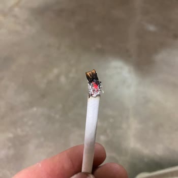 Philip Morris Sigaranın İçinde Odun Parçası Çıktı