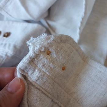 U.S. Polo Assn рубашка порвалась на рукавах