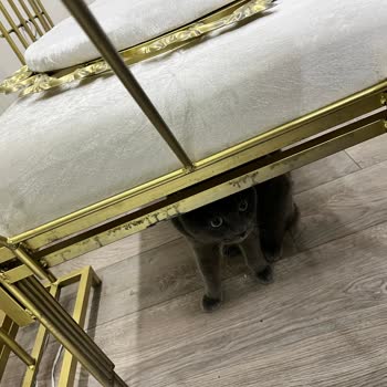 Consept.uludag.imalat (Instagram) Kalitesiz Ürünler Ve Hakaret Eden İnsanlar...