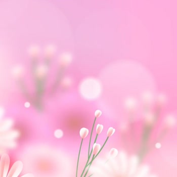 Paribu MASAK! Hatası Anlam Veremiyorum