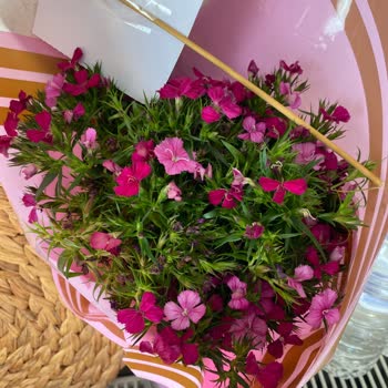 Çiçek Sepeti Solmuş Çiçek Gönderimi