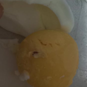 S.S. İzmir Ege Üretim ve Tüketim Kooperatifi Yumurtanın İçindeki Yabancı Cisimler