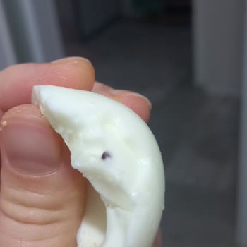 S.S. İzmir Ege Üretim ve Tüketim Kooperatifi Yumurtanın İçindeki Yabancı Cisimler