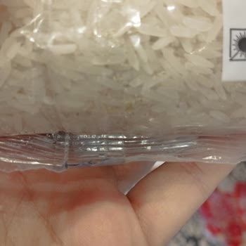 Yayla Bakliyat Aldığım 2 Kg Lik Yayla Pirinçten Böcek Ve Tırtıl Çıktı