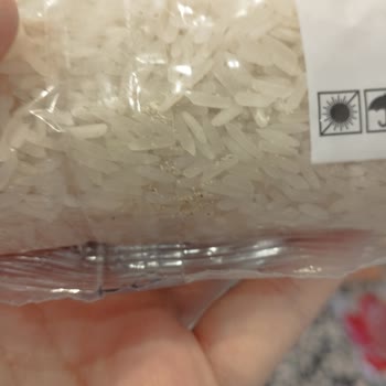 Yayla Bakliyat Aldığım 2 Kg Lik Yayla Pirinçten Böcek Ve Tırtıl Çıktı