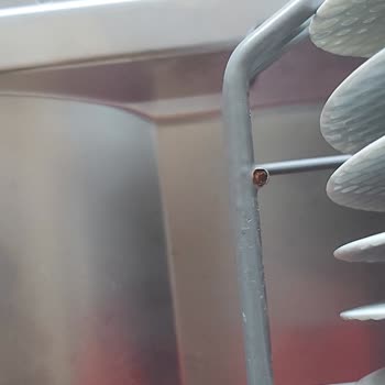 Teka Bulaşık Makinesi Sepette Paslanma