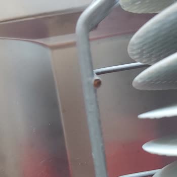 Teka Bulaşık Makinesi Sepette Paslanma