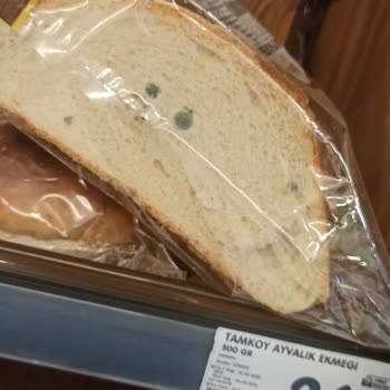 Şok Market Raflarında Küflü Ekmek
