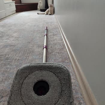 Parex İlgisiz Müşteri Hizmetleri