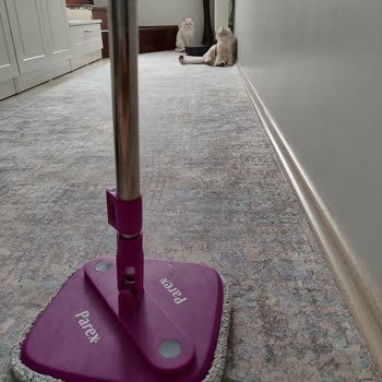 Parex İlgisiz Müşteri Hizmetleri