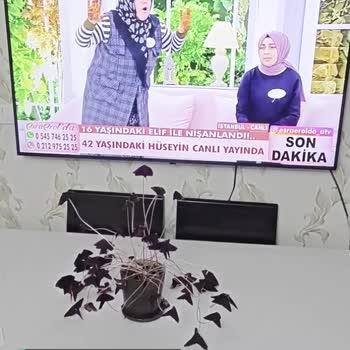 LG TV Ekran Yansıtma Yapmıyor!