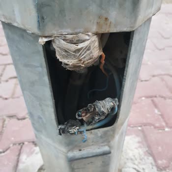 Gediz Elektrik'te İhmal! Okul Yakını Aydınlatma Sorunu