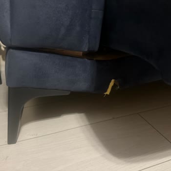 Doğtaş Koltuk Takımı Kalitesizliği Ve Servis Sorunu