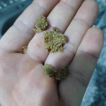 BİM, Party Cips, Yabancı Cisim