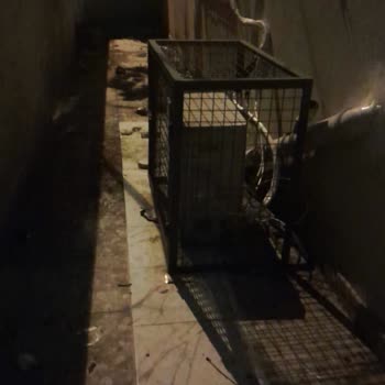 A101 Marketin Klima Motorlarının Verdiği Rahatsızlık