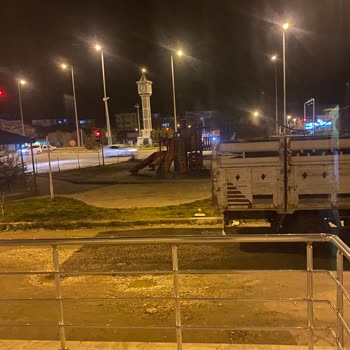Emniyet Genel Müdürlüğü Park Yanında Duran Kamyonet