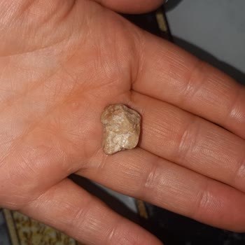 Amigo Yer Fıstığından Taş Çıktı
