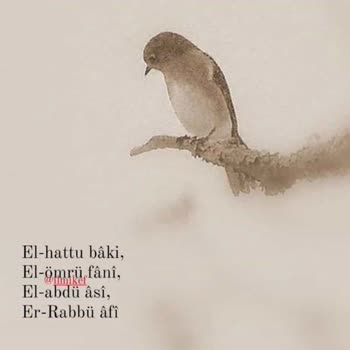 İstikbal Garanti Servisi Hayal Kırıklığı