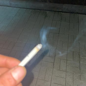 Philip Morris Sigaraları Hatalı Ve Odun Parçaları