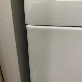 Bosch Çamaşır Makinesi Deterjan Kapağı Su Sızdırıyor