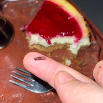 BİM Ma Sante Cheesecake'te Odun Parçası!