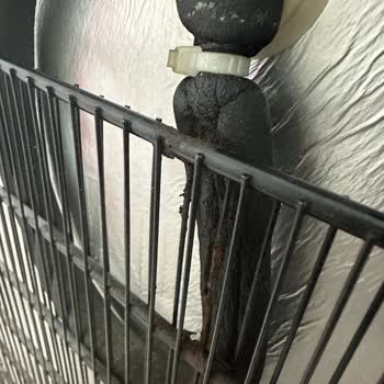 Arçelik 2070 MB Derin Dondurucu Fabrikasyon Hata