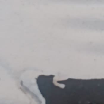 Ayakkabimnasil (Instagram) Gösterilen İle Satılan Aynı Değil