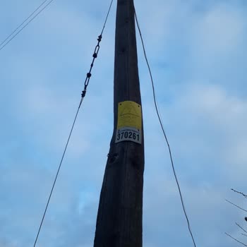 TREPAŞ Elektrik Dağıtım Şirketi