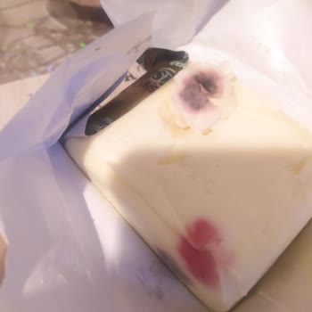 Mis Tereyağı Küflü Bozuk Yeni Tarihi