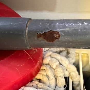 Vileda Turbo Pedallı Paslandı Marka Arkası Da Durmuyor.