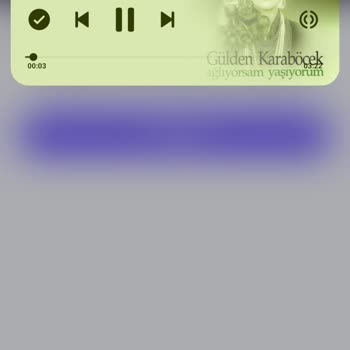 Spotify Şarkı Farklı Foto Farklı