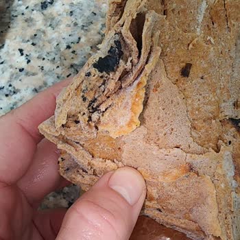 Gedik Piliç Yanmış Ürün Sorunu Ve Ortaya Çıkan Mağduriyet.