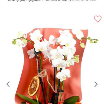 Taze Çiçek (tazecicek.com) Çürümüş Çiçek Göndermişler