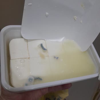 Pınar Et Ve Süt Süzme Peyniri Marketten Aldığım Günün Ertesi Gün Küflü