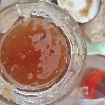 Tamek Gül Reçelinde Böcek