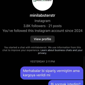 Mini-labsters.com Siparişim Gelmedi, Mağdur Oldum!