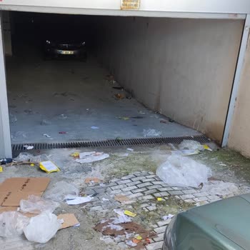 Şok Market İn Çevreyi Kirletmesi