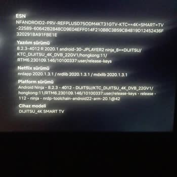 Dijitsu Dijital Google TV'de Netflix Açılmıyor