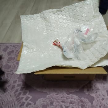 Vestel Yetkili Servis Kapağı Kaybetti