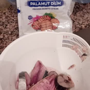 Balık Dünyası Bozuk Palamut Hayal Kırıklığı Yarattı