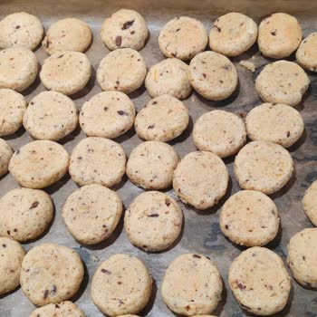 Siemens Fırında Pişirme Kabusu!