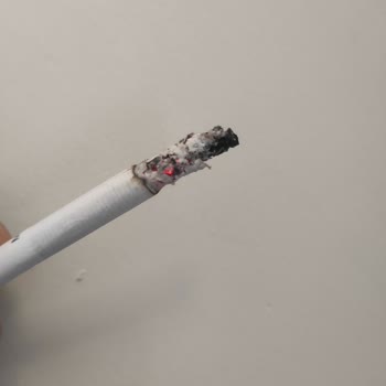 Philip Morris Odun Parçacıklı Sigara Keyfi