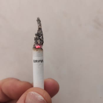 Philip Morris Odun Parçacıklı Sigara Keyfi