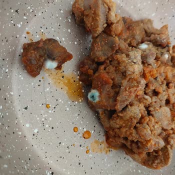 Sözen Meze Açılmamış Ürün Küfü Ve Ekşimesi