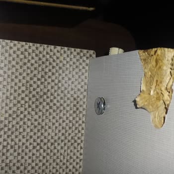 Doğtaş Pişman Doğtaş Pişman Liktir