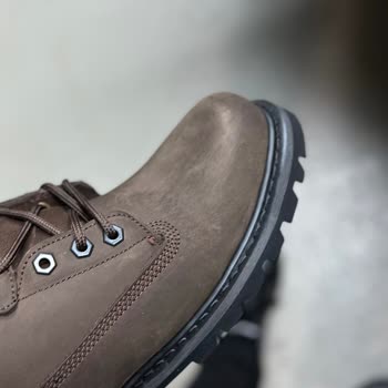 Yeşil Kundura Cat Bot Hayal Kırıklığı